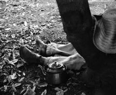          Como homem da terra, Haruo Ohara (1909-1999) cultivou o campo e com sensibilidade utilizou a fotografia para registrar a luz para construir formas abstratas a partir de volumes e texturas de objetos e da natureza presentes em seu dia-a-dia. Produziu também marcantes imagens documentais e humanistas da família, da região e de seu trabalho associado à abertura da nova fronteira agrícola no Norte do Paraná. Foto:Haruo Ohara 