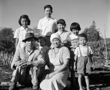          Como homem da terra, Haruo Ohara (1909-1999) cultivou o campo e com sensibilidade utilizou a fotografia para registrar a luz para construir formas abstratas a partir de volumes e texturas de objetos e da natureza presentes em seu dia-a-dia. Produziu também marcantes imagens documentais e humanistas da família, da região e de seu trabalho associado à abertura da nova fronteira agrícola no Norte do Paraná. Foto:Haruo Ohara 