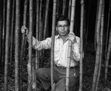          Como homem da terra, Haruo Ohara (1909-1999) cultivou o campo e com sensibilidade utilizou a fotografia para registrar a luz para construir formas abstratas a partir de volumes e texturas de objetos e da natureza presentes em seu dia-a-dia. Produziu também marcantes imagens documentais e humanistas da família, da região e de seu trabalho associado à abertura da nova fronteira agrícola no Norte do Paraná. Foto:Haruo Ohara 